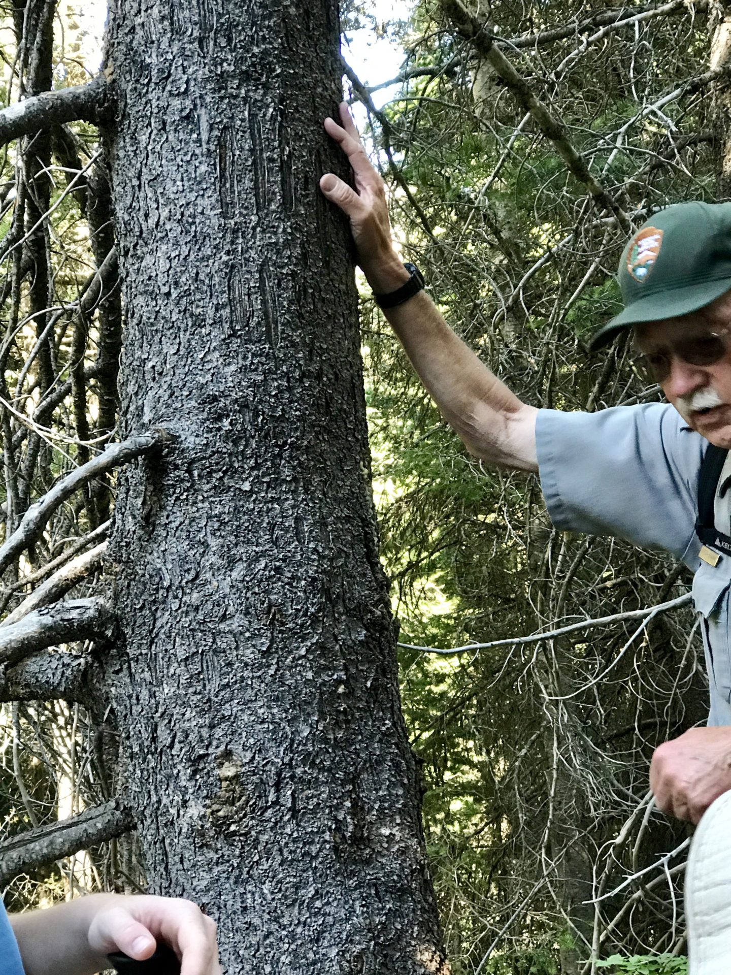 Glacier National Park: Hiking To Iceberg Lake - Restless Curiosity